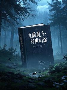 九阶魔方：异界归途